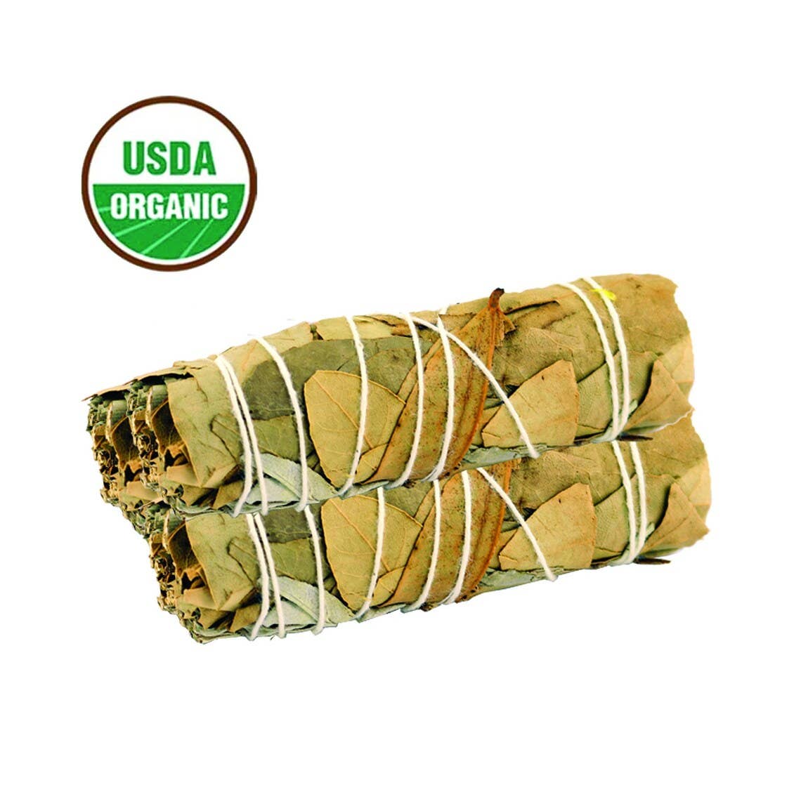 White Sage with Bay Leaf - Smudge Bundle (Light with Leaves on Outside)