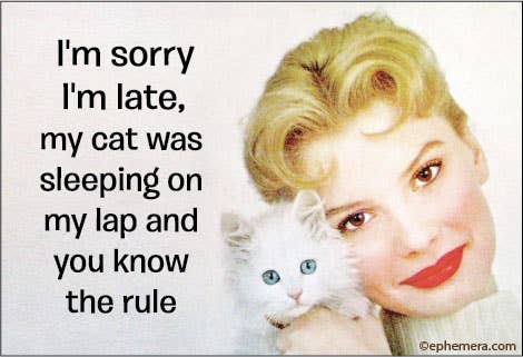 Magnet - Ephemera - I'm sorry I'm late, my cat was sleeping