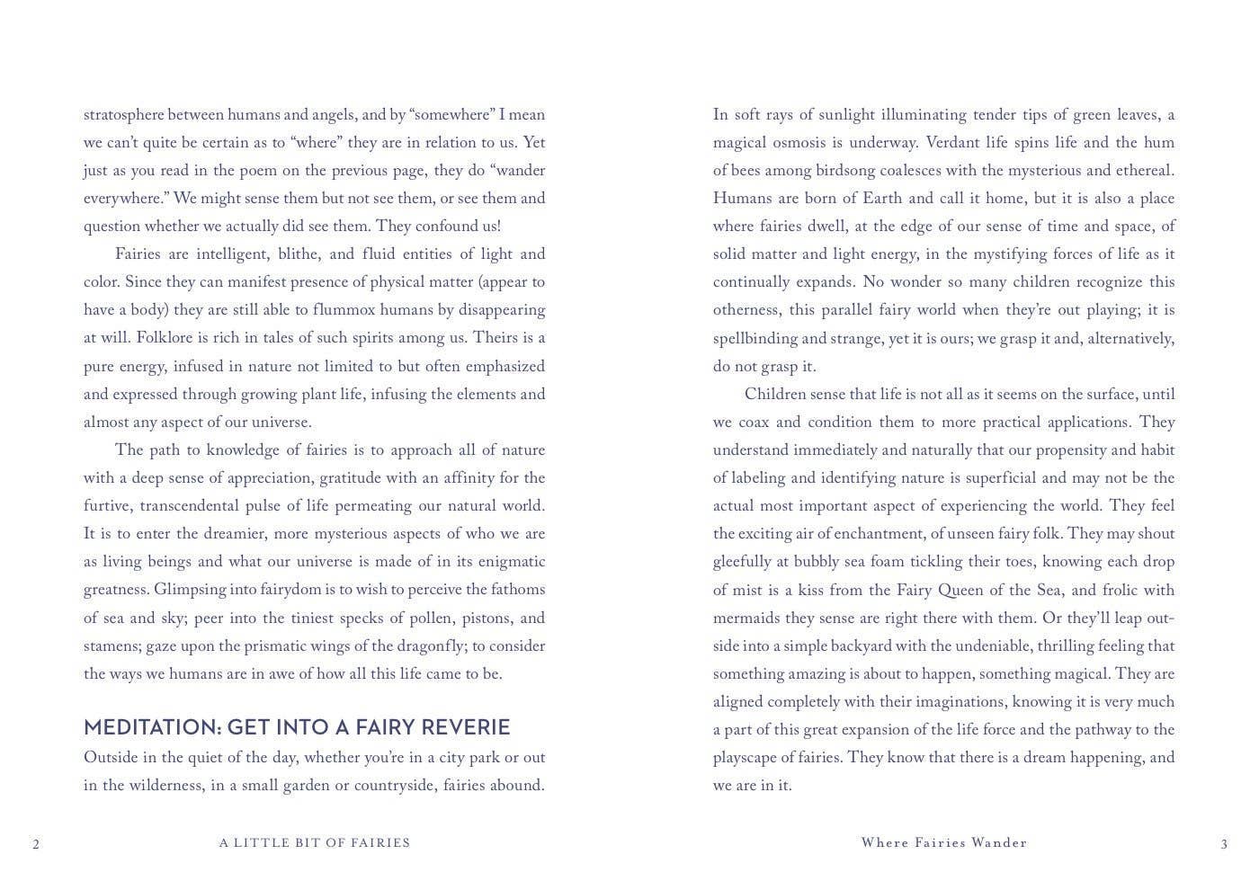 Little Bit of Fairies by Elaine Clayton