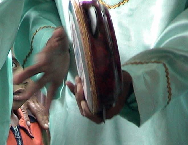 Turtle Frame Drum Intrument