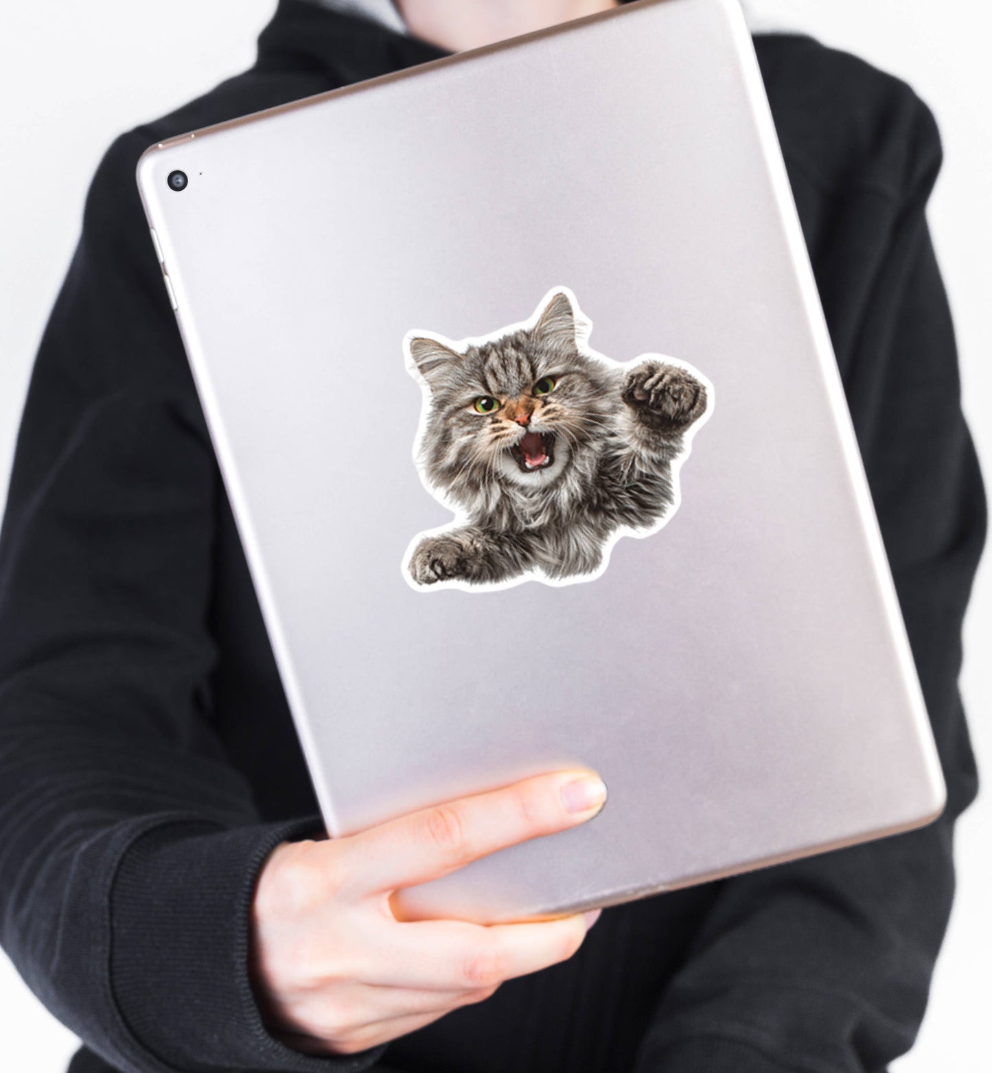 Stickers - OZ - Angry Cat Vinyl