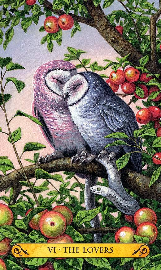 Tarot Of The Owls Mini Deck