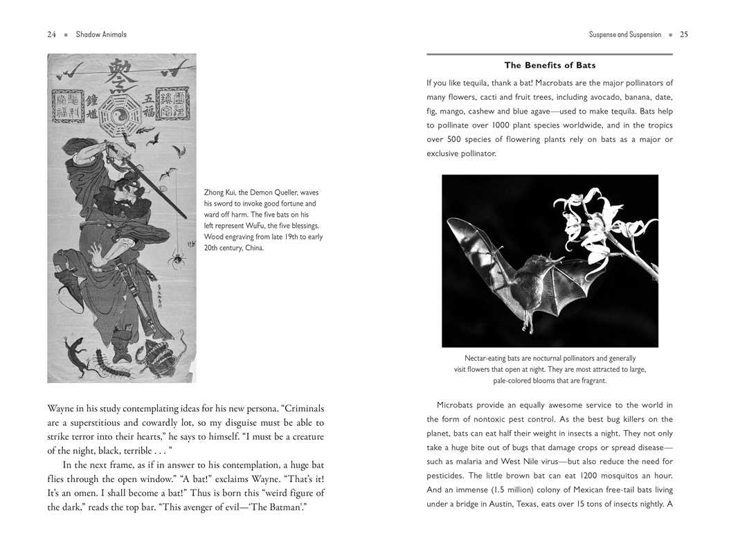 Shadow Animals by Dawn Baumann Brunke: Paperback; 320 pages / English