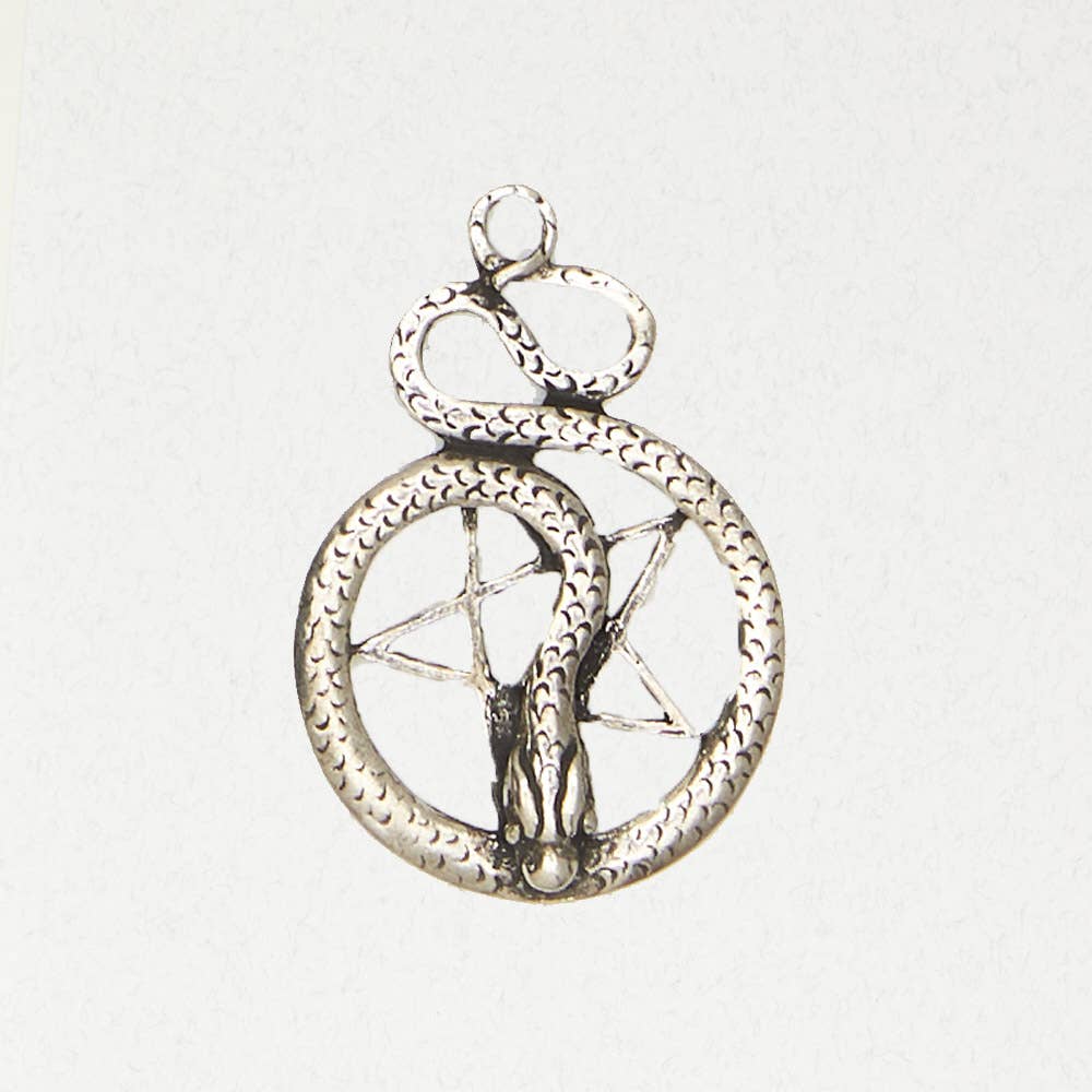 Wicca Pendant Necklace - Pentacle of the Snake: Pewter