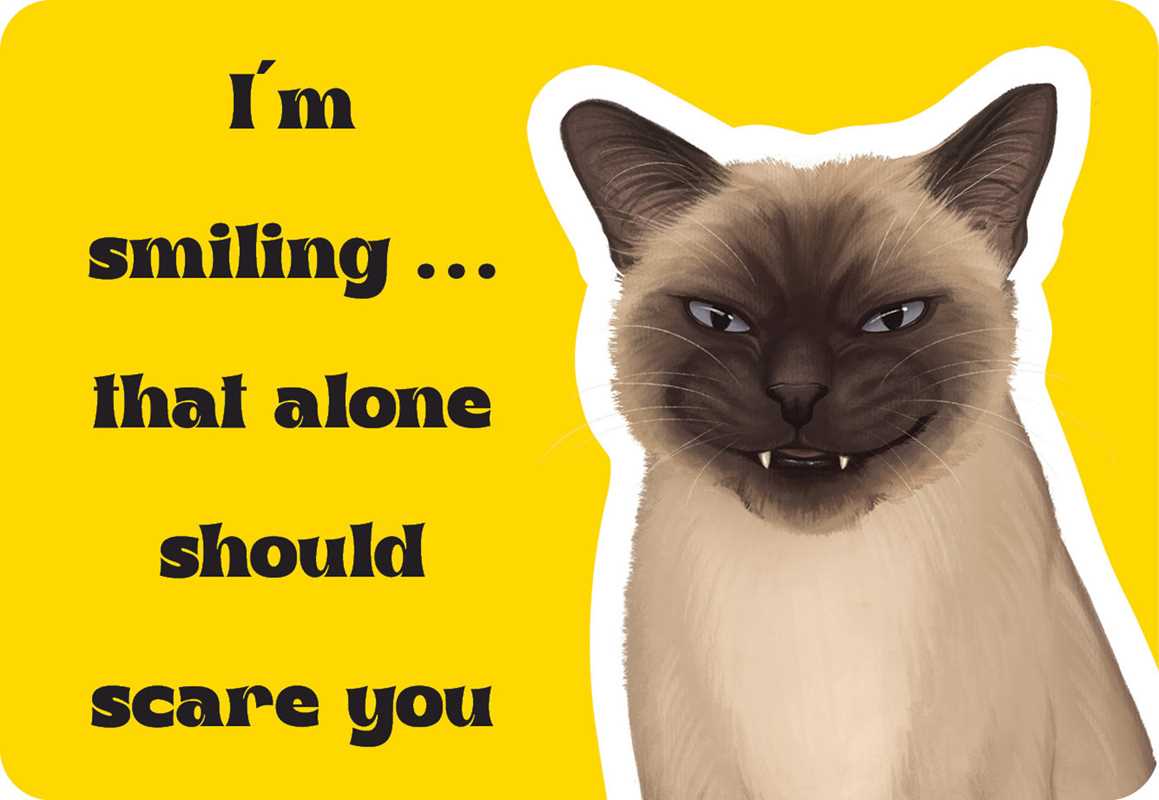 Cattitude by Rockpool Publishing
