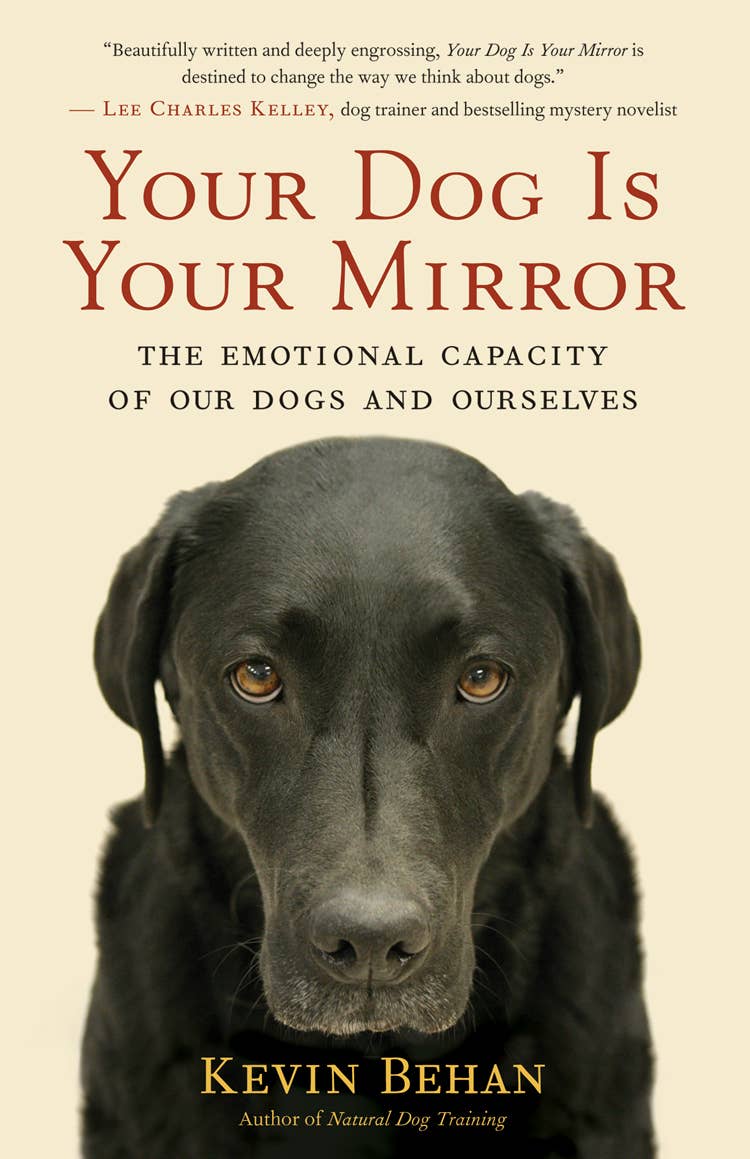 Your Dog is Your Mirror PB