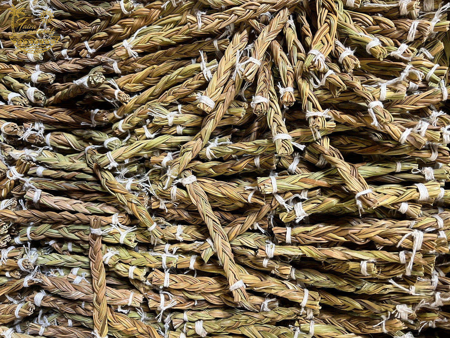 Sweet Grass Mini (4-5 in.)