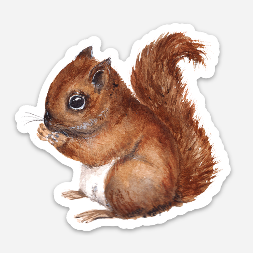 Baby Squirrel Sticker