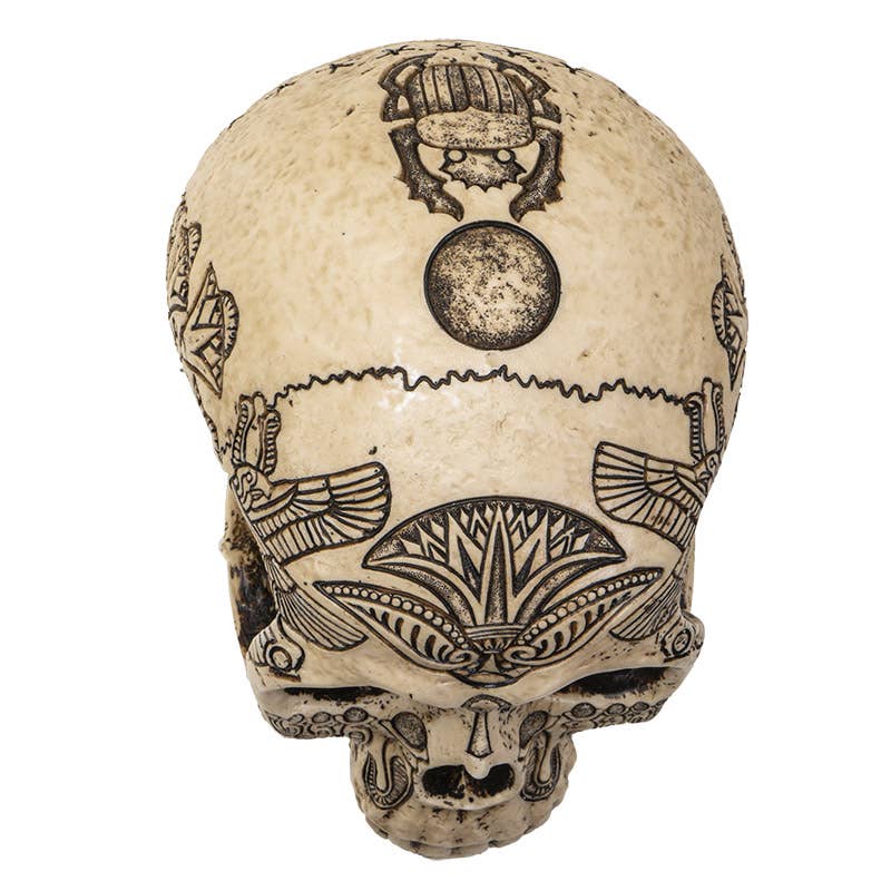 Egyptian Heiroglphic Skull Head