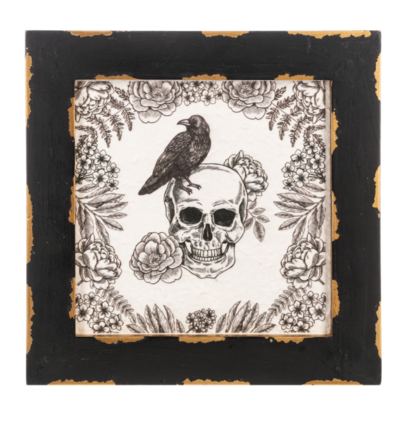 Skull Print in Distressed Frame