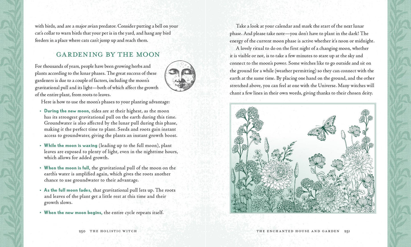 Holistic Witch: Hardcover