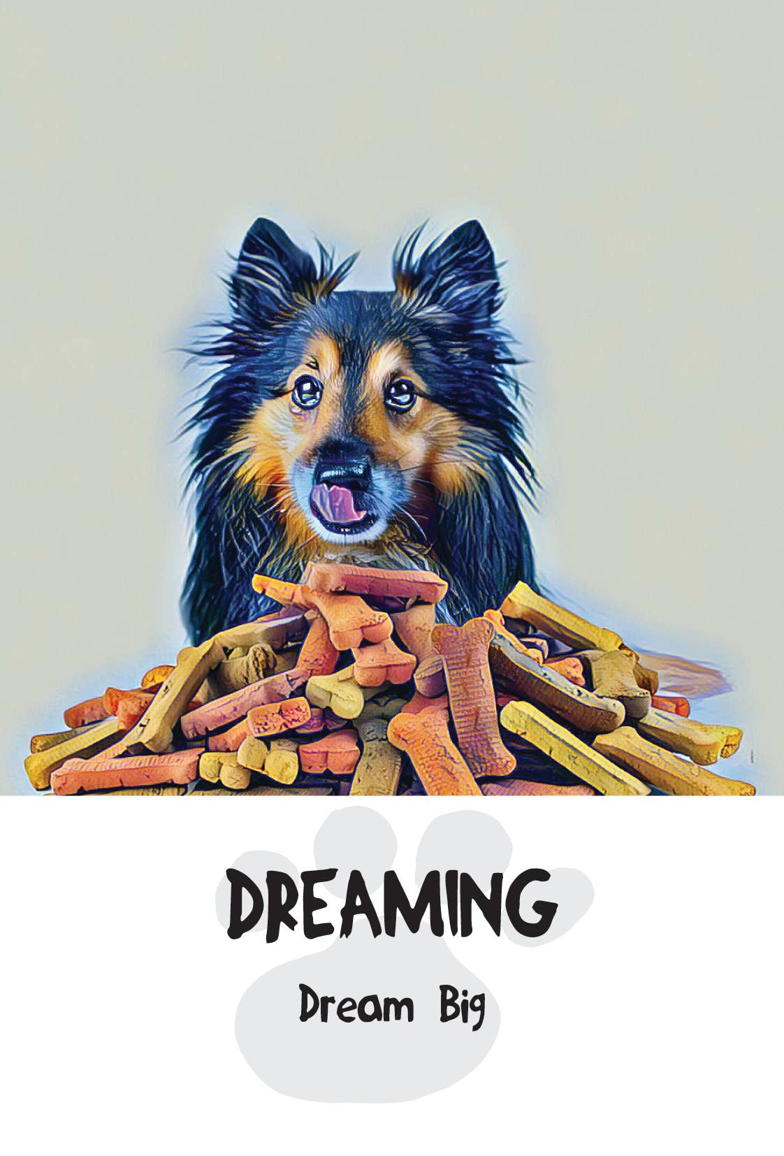Divine Dog Wisdom Deck (Boxed Set)