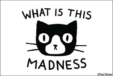 MAGNET: WHAT IS THIS MADNESS