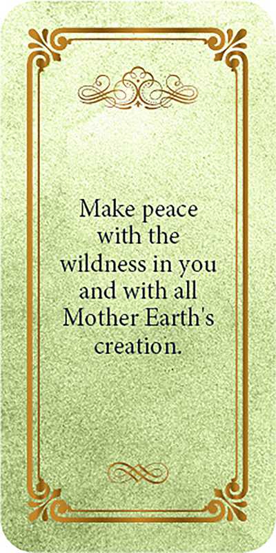 Avalon Magic Mini Deck by Rose Inserra: Flashcards