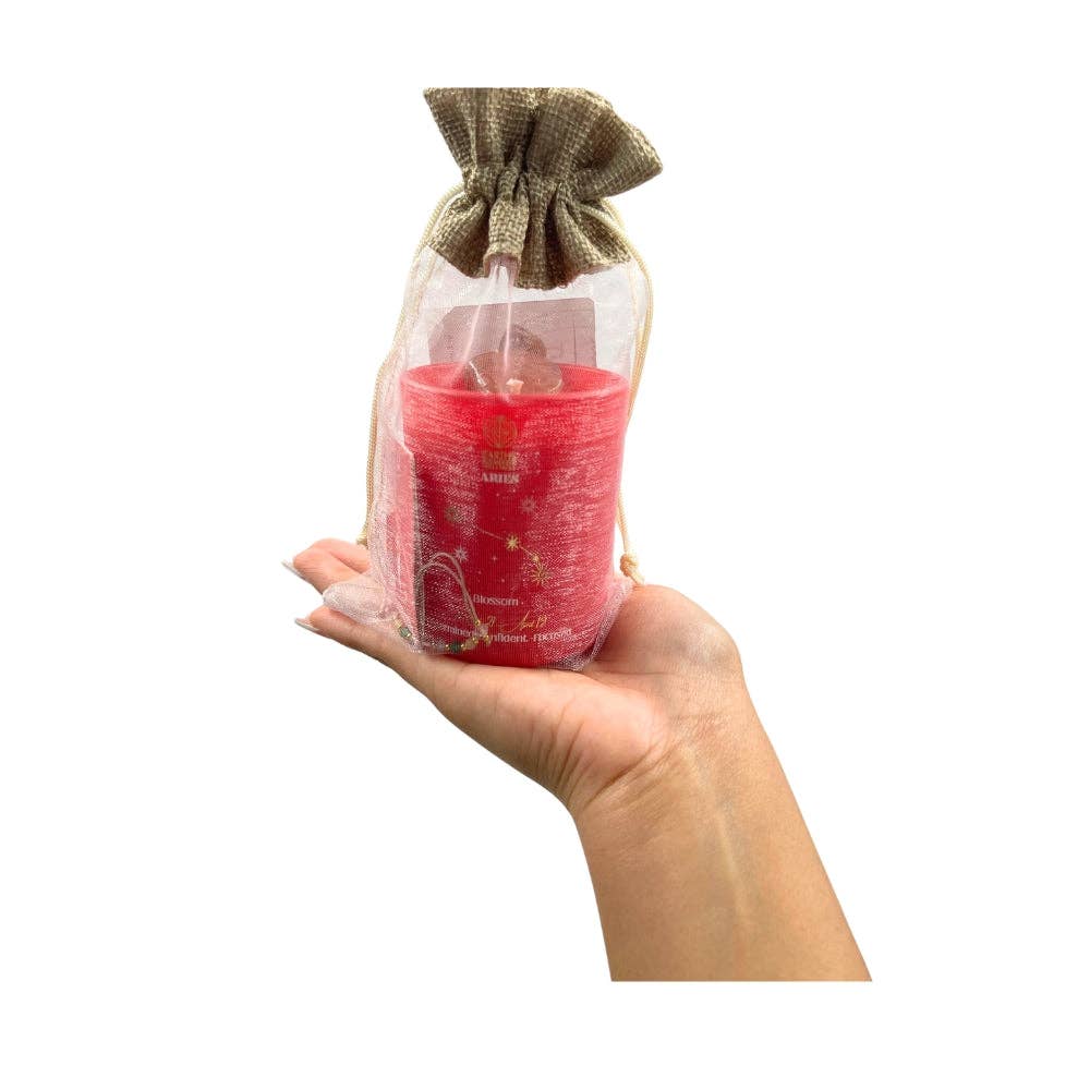 Zodiac Bundle - Aries