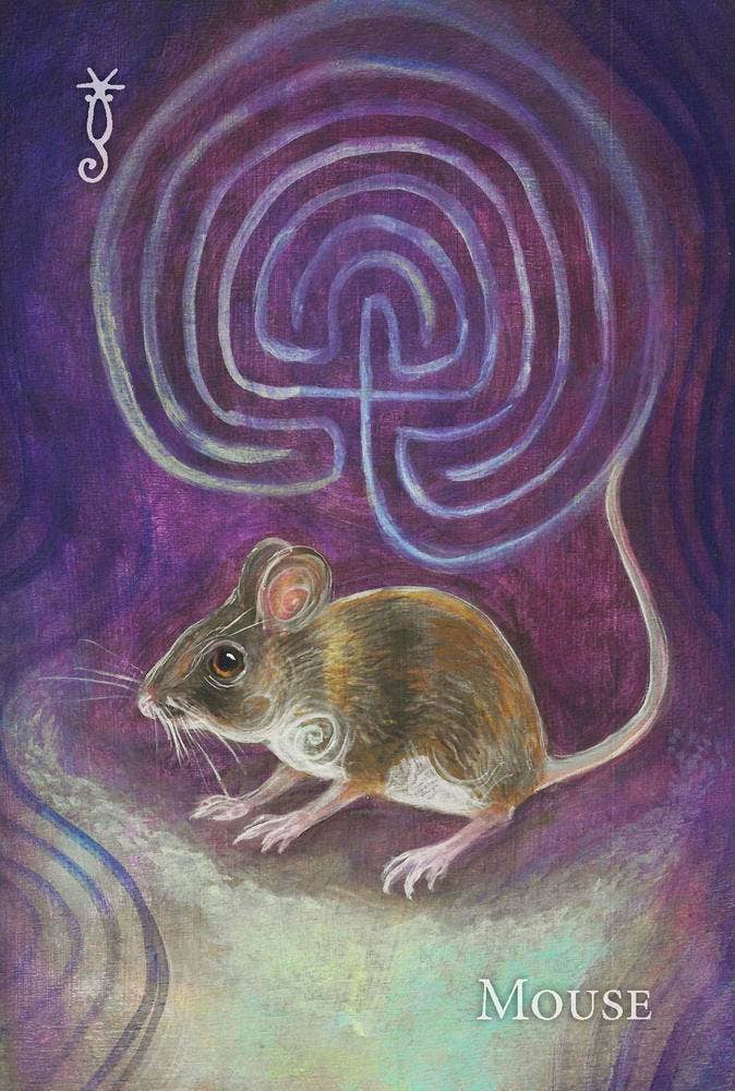 A Witch's Ally Oracle