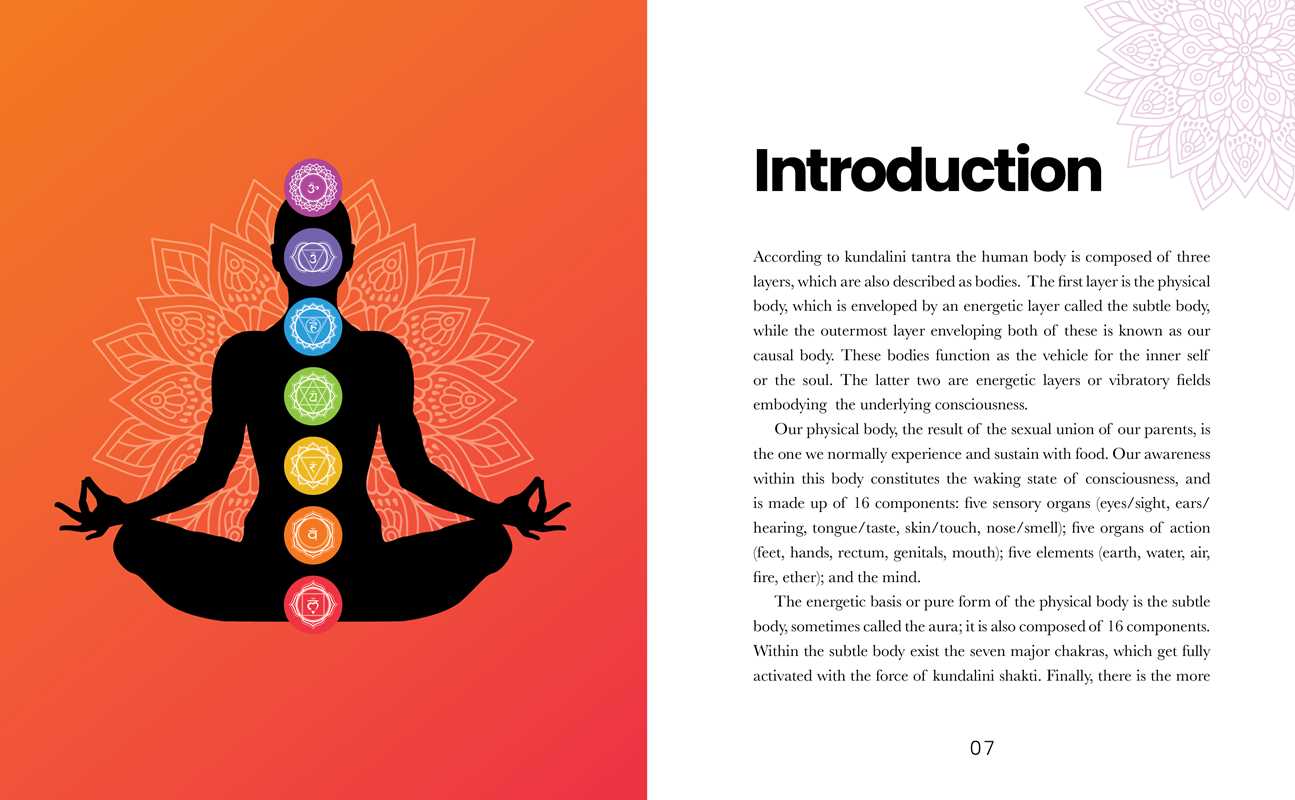 Chakras by Dr Ravi Ratan