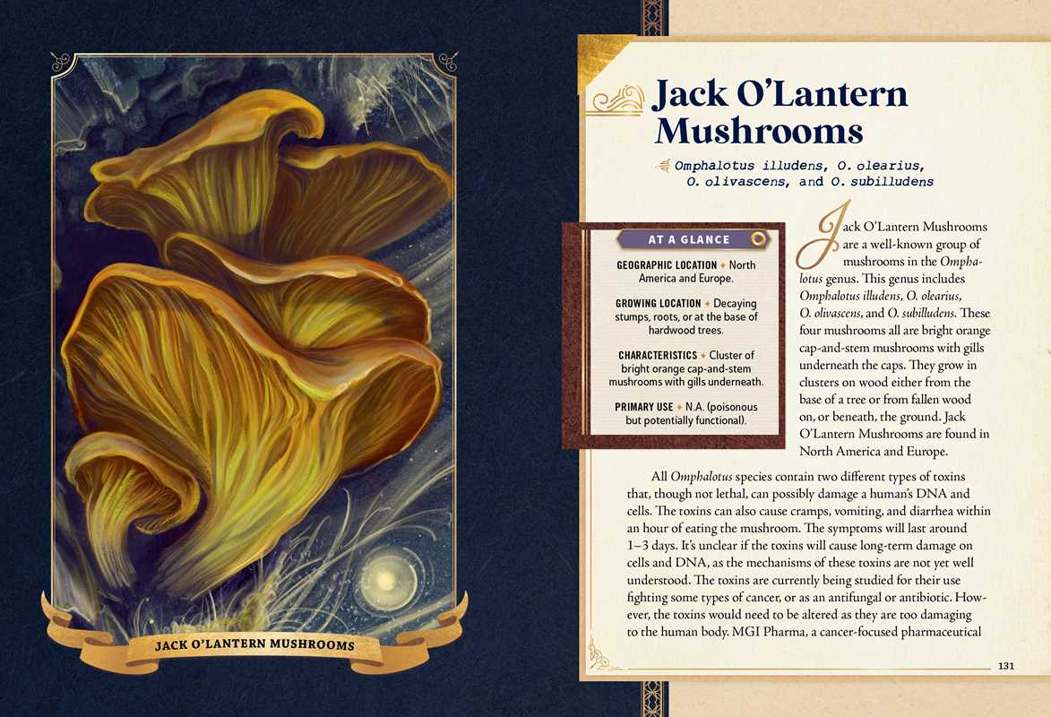 Little Book of Mushrooms by Alex Dorr: Hardcover
