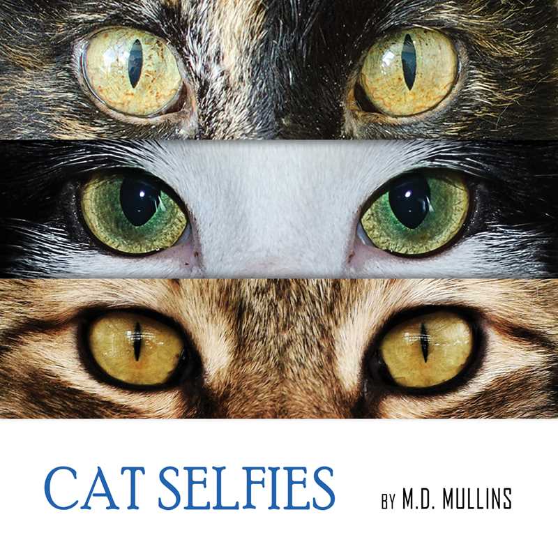 Cat Selfies by M.D. Mullins: Hardcover; 112 pages / English