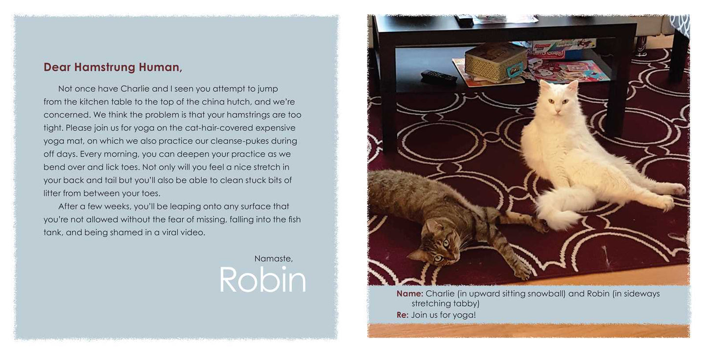 Sorry I Barfed on Your Bed Again by Jeremy  Greenberg: Paperback; 64 pages / English