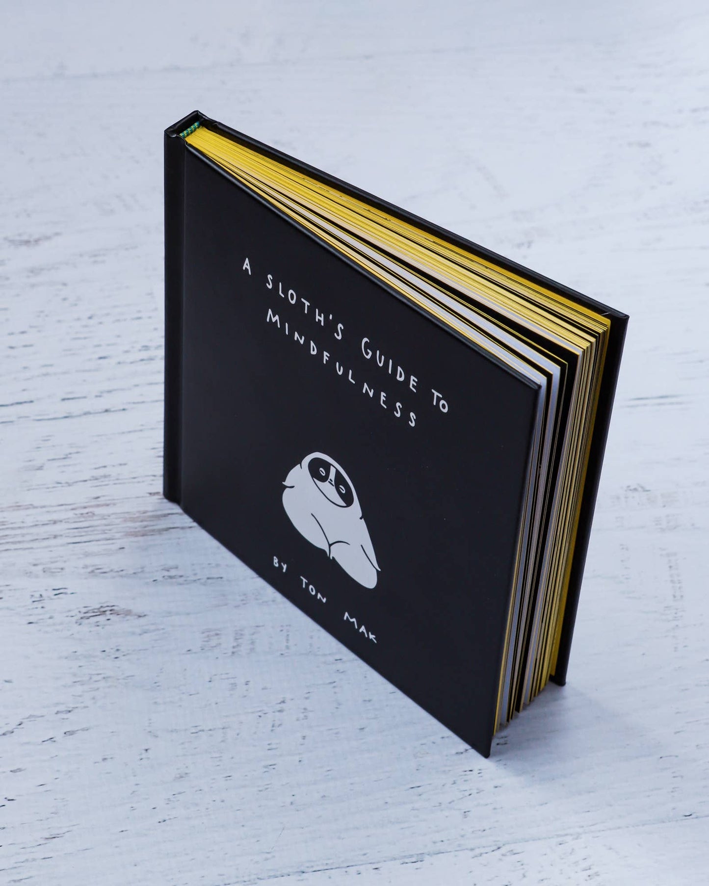 A Sloth's Guide to Mindfulness