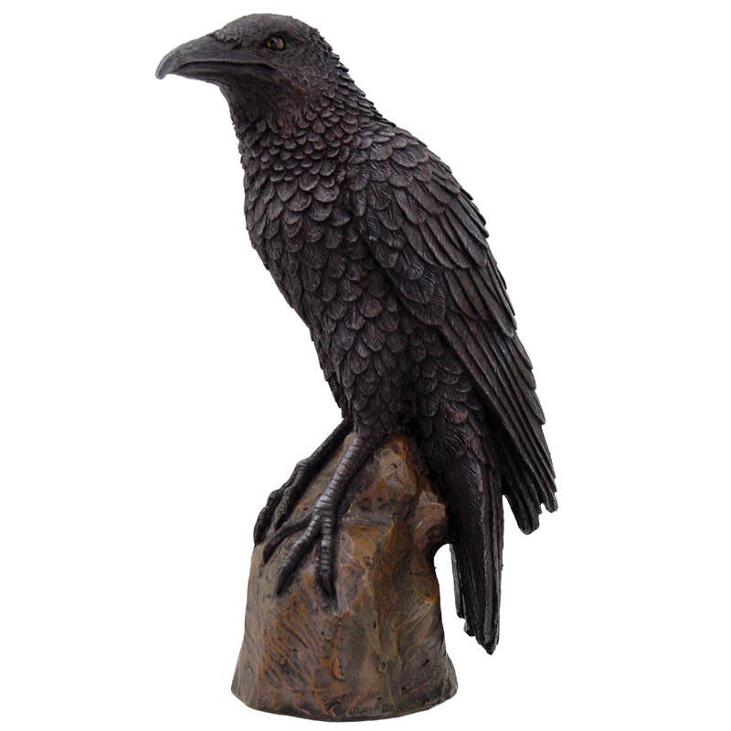 Raven on Branch