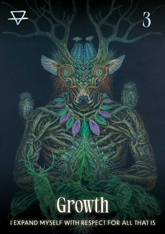 Shamanic Oracle by Luis & Magali Tamani