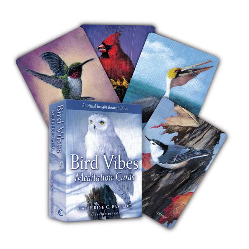 Bird Vibes Meditation Cards by Catherine C. Bastedo: Flashcards; 152 pages / English