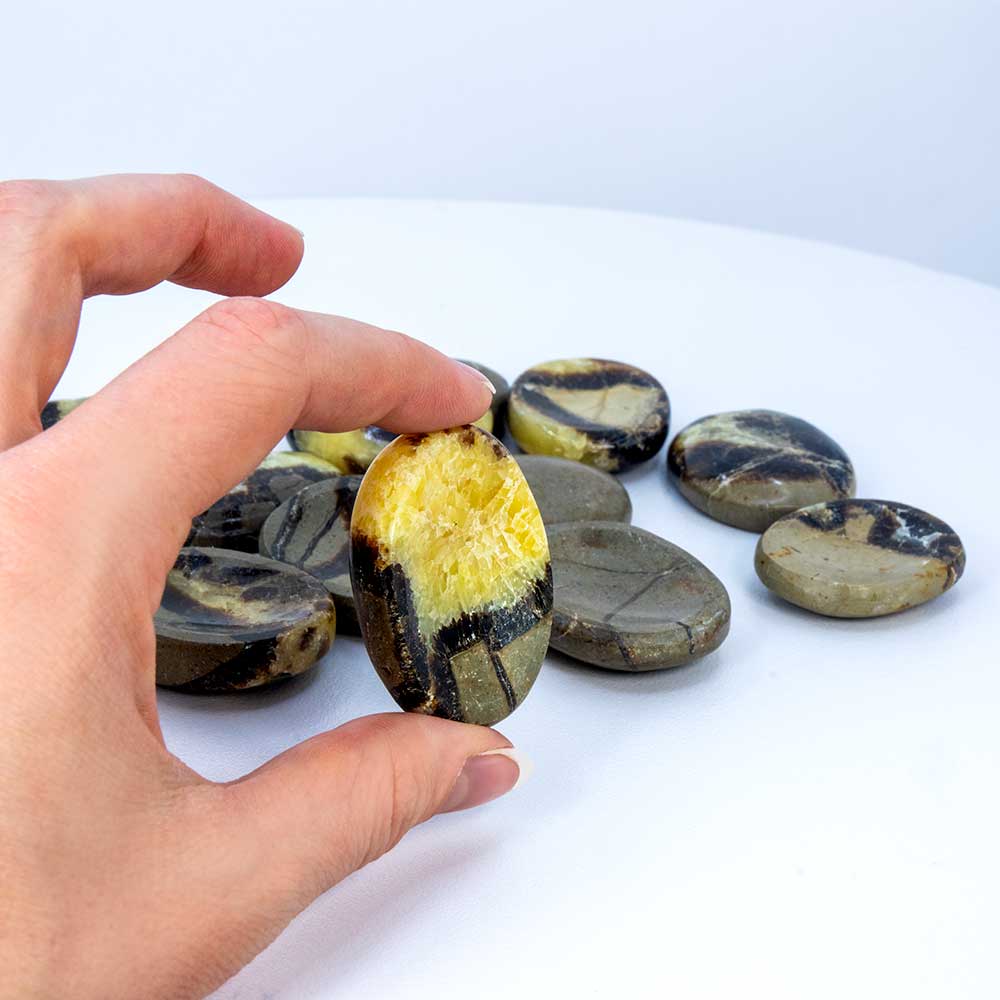 Worry Stones - Septarian / Dragon Stone