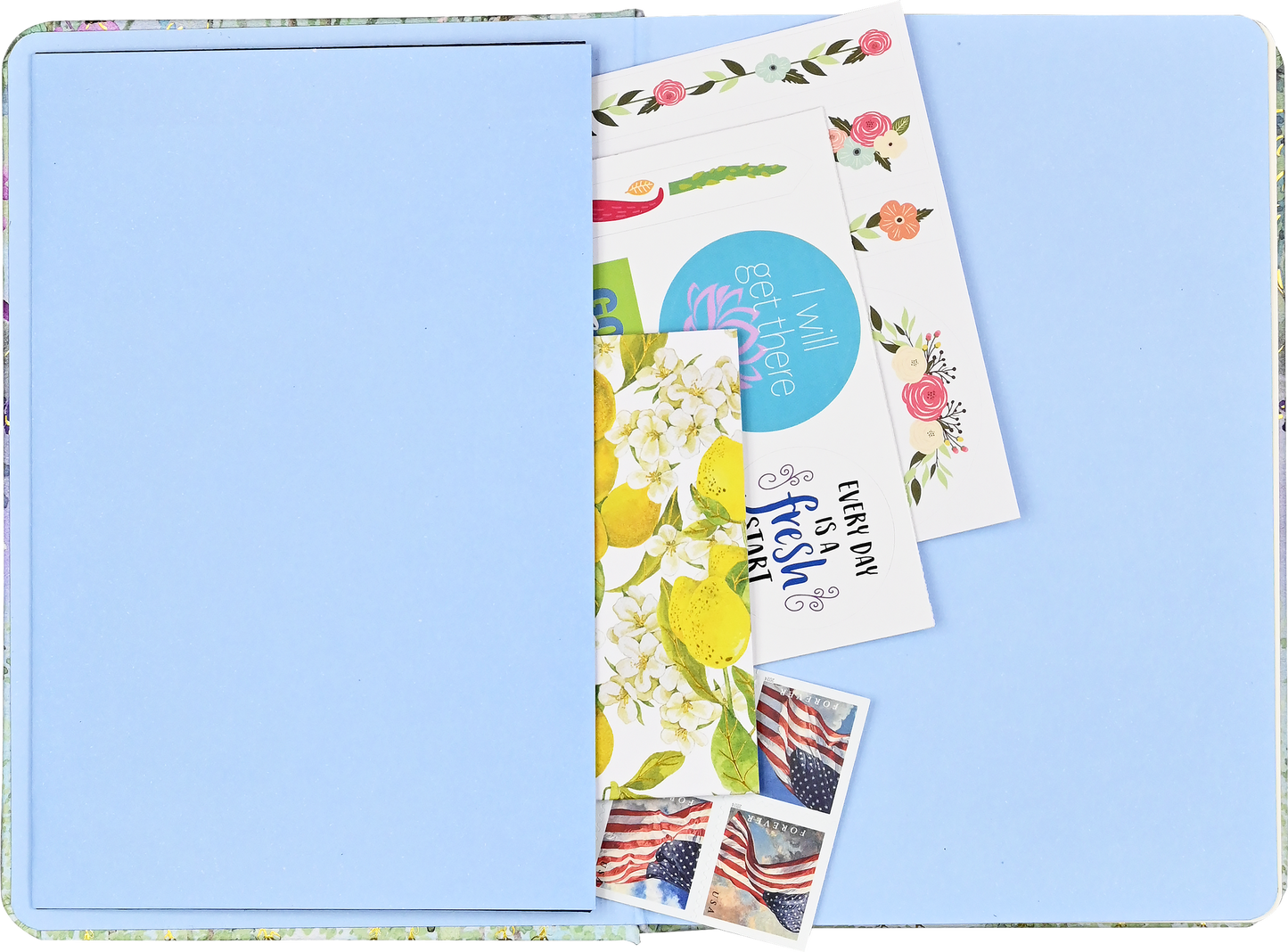 Dragonflies & Dandelions Journal