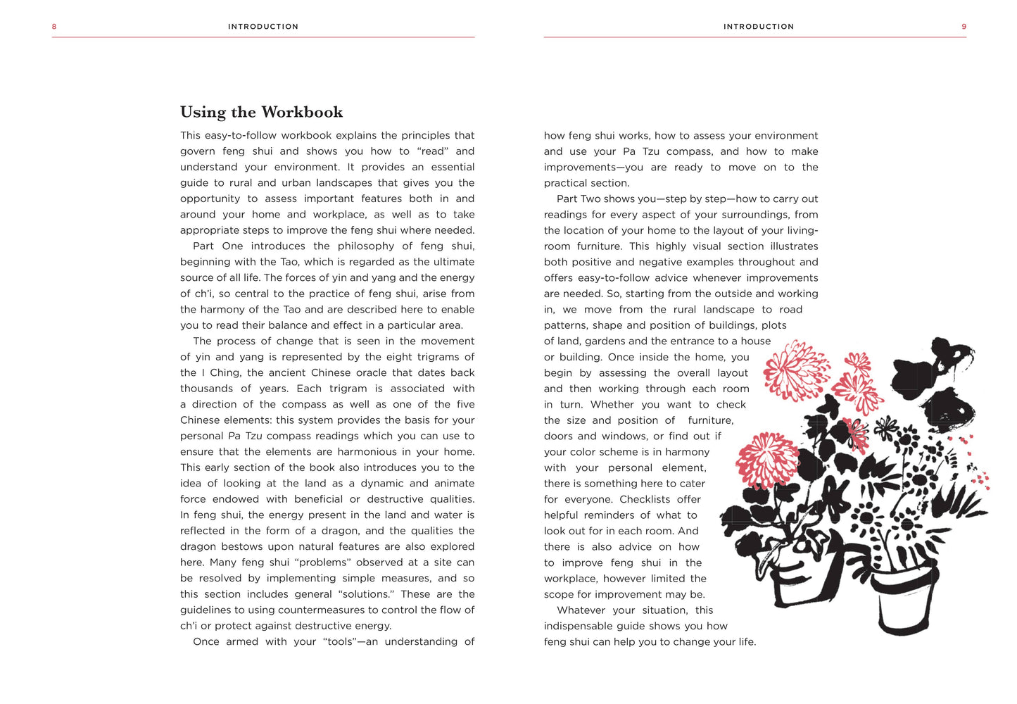 Feng Shui: Illustrated Guide to Life Energy