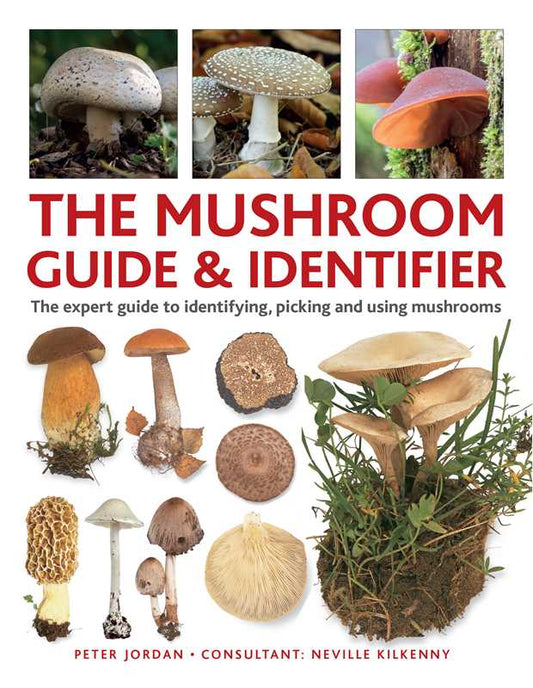 Mushroom Guide & Identifer by Peter Jordan: Hardcover; 160 pages / English