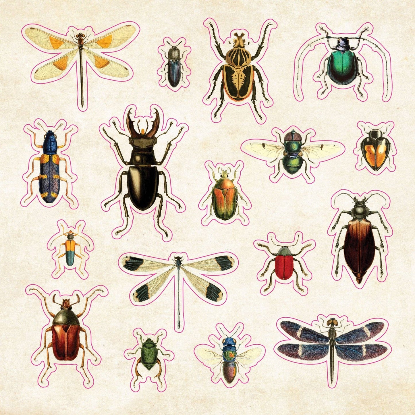 Sticker Book of Curiosities