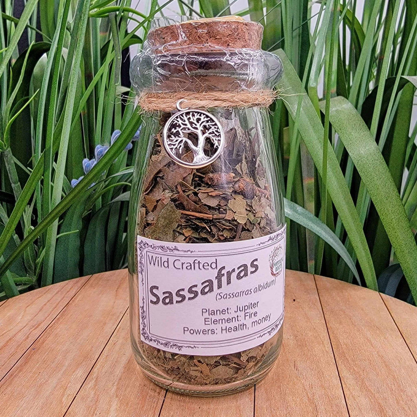 Herb Jar - Sassafras Leaf