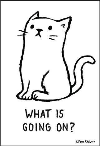 Magnet - Ephemera - What is going on?