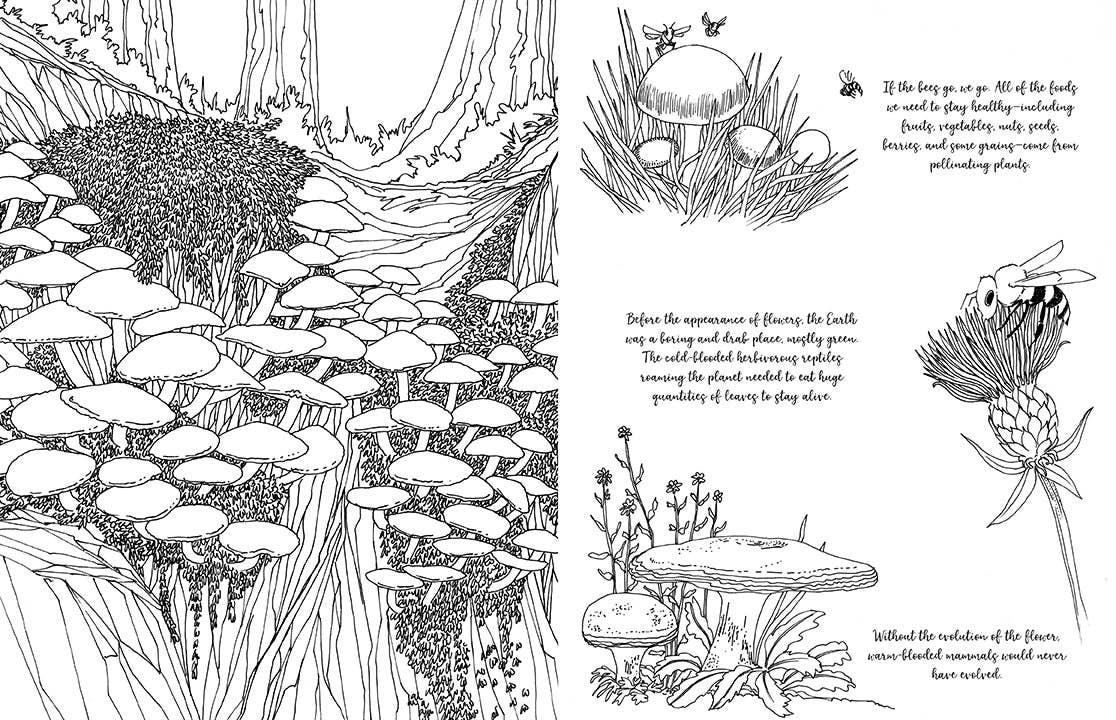 Fantastic Fungi: The Coloring Book