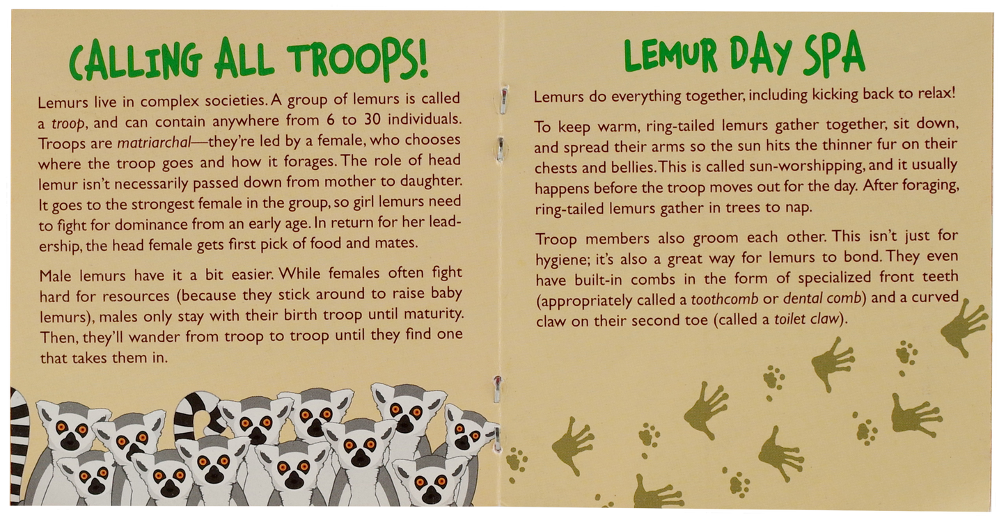 Hug a Lemur Kit