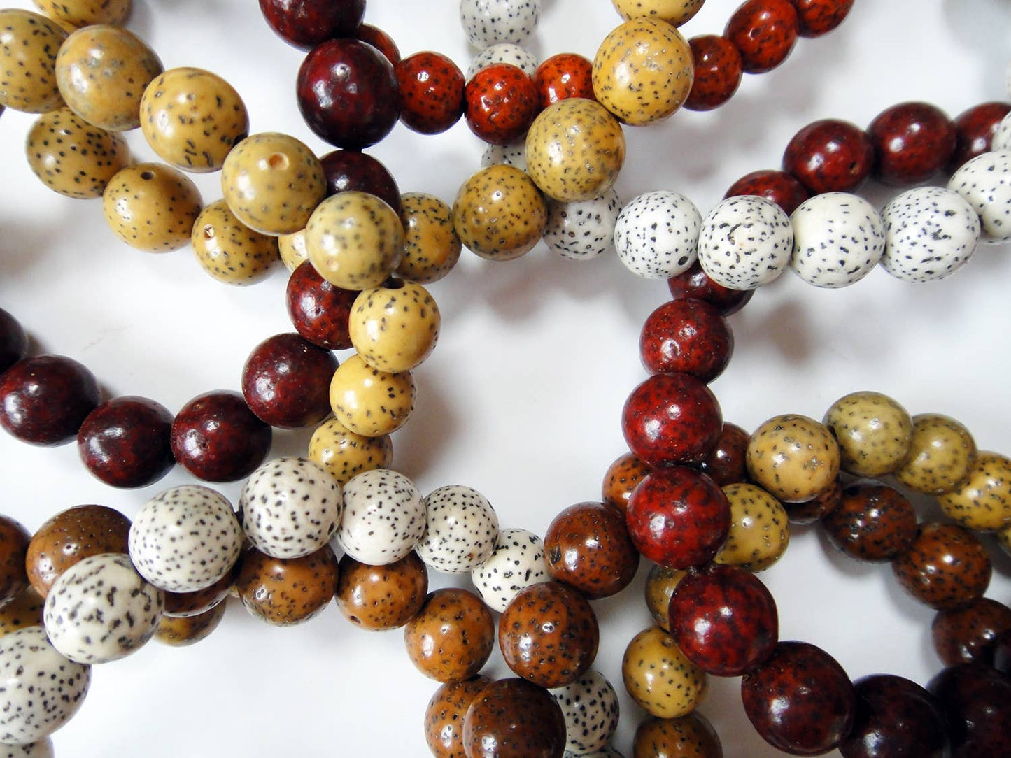 Lotus Seed Stretch Bracelet