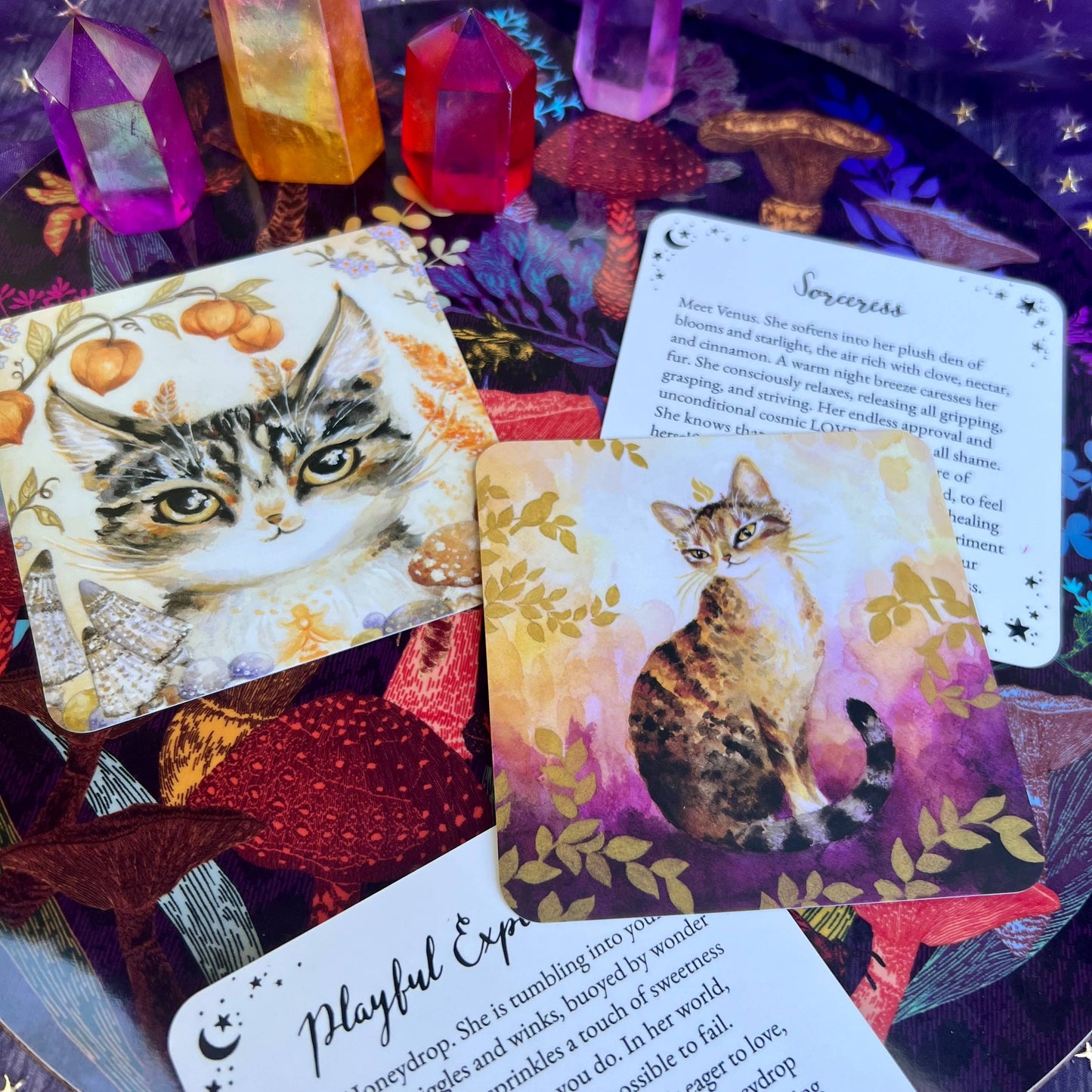 Witch Cats Oracle Deck