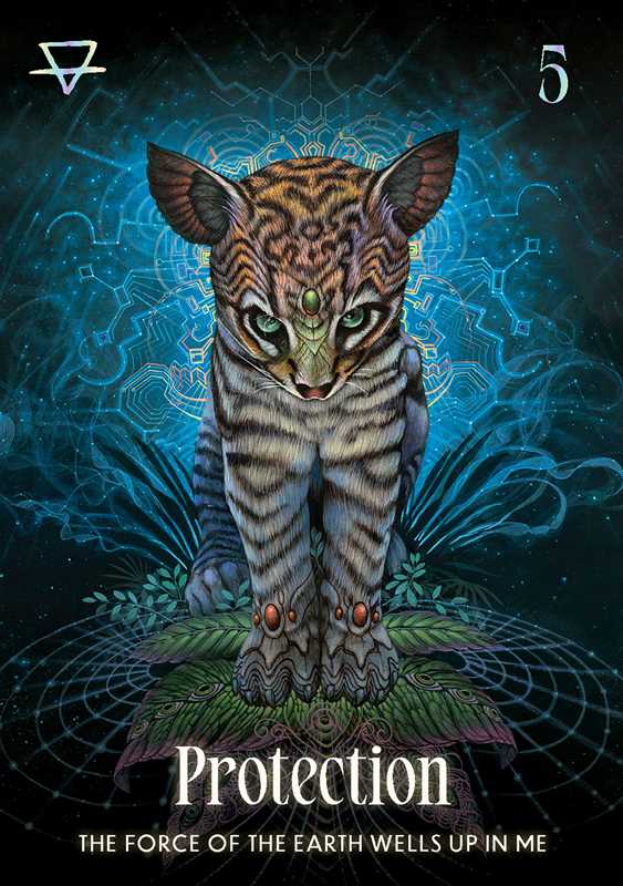Shamanic Oracle by Luis & Magali Tamani