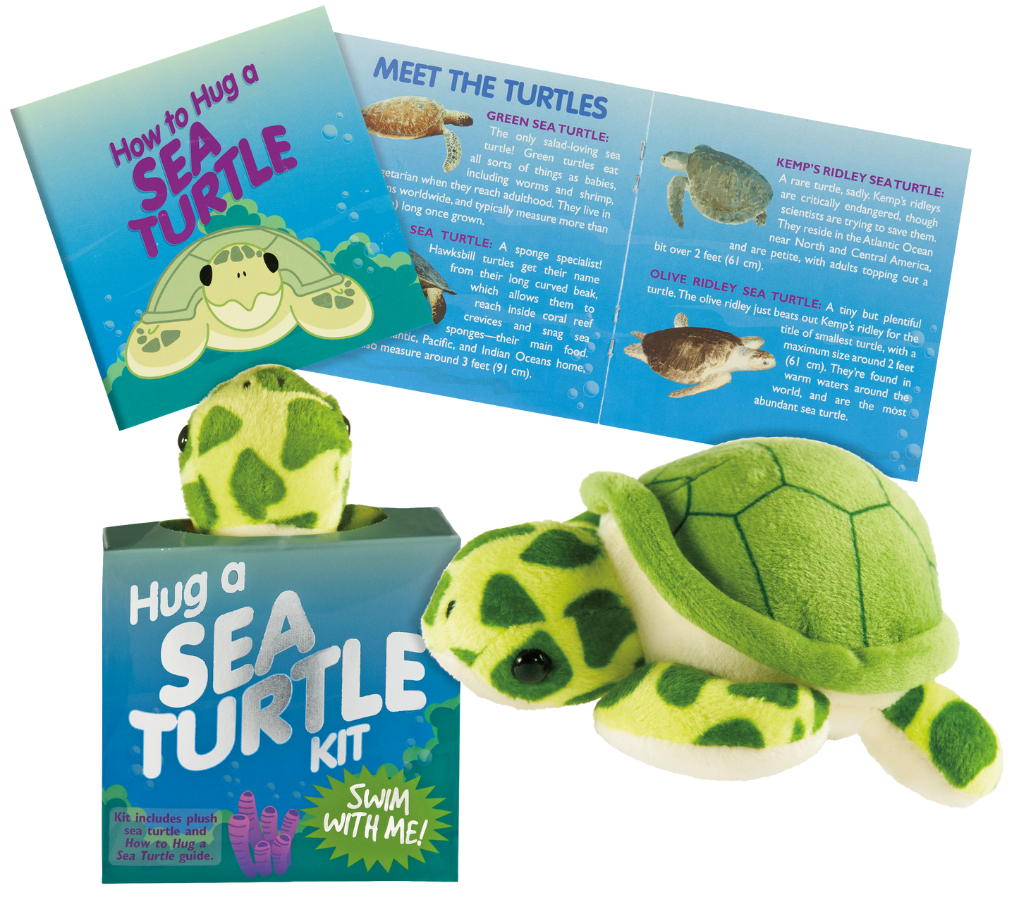 Hug a Sea Turtle Kit