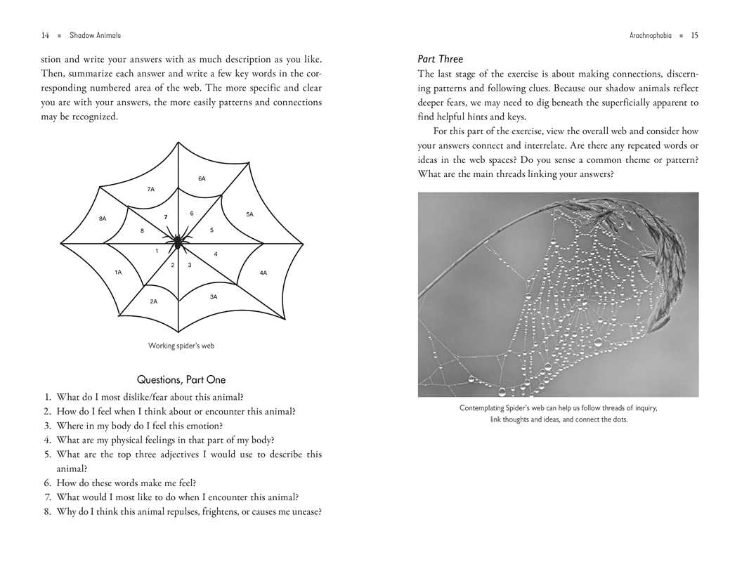 Shadow Animals by Dawn Baumann Brunke: Paperback; 320 pages / English
