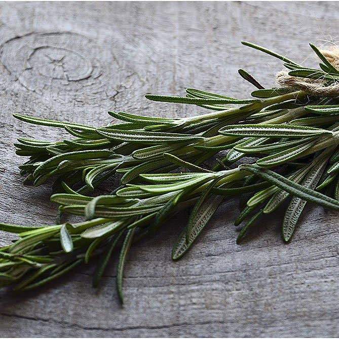 Sun's Eye - Rosemary Essential Oil: .5 fl oz