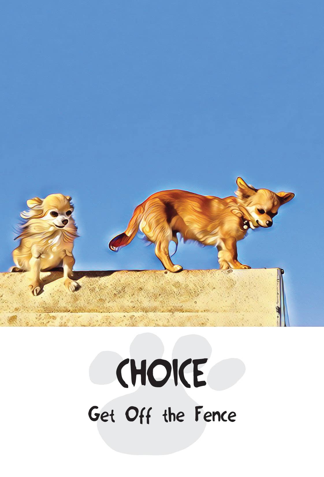 Divine Dog Wisdom Deck (Boxed Set)