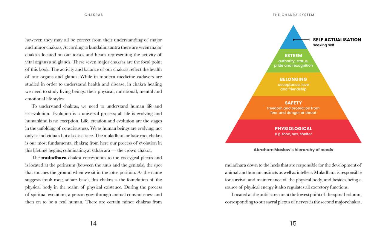 Chakras by Dr Ravi Ratan