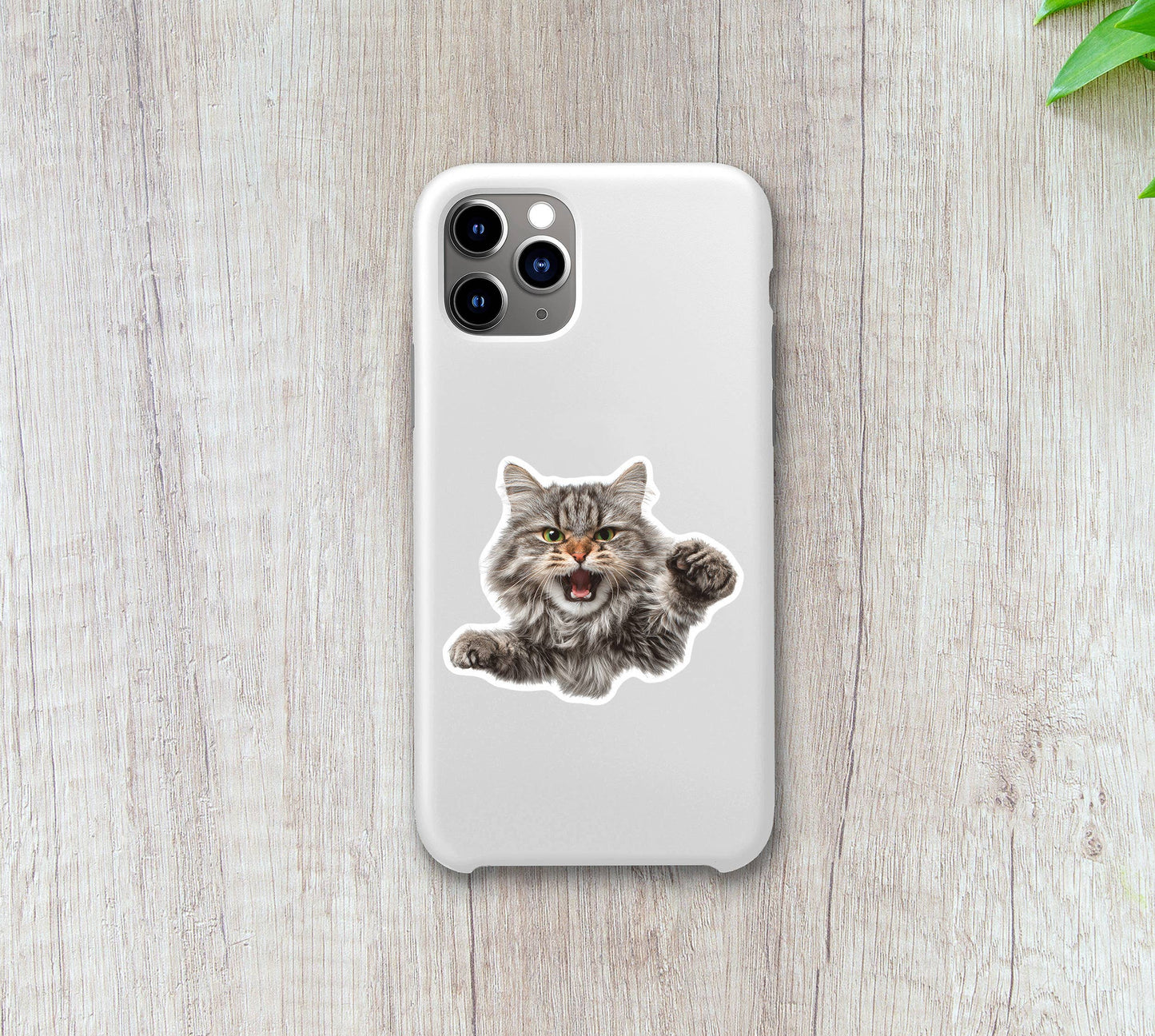 Stickers - OZ - Angry Cat Vinyl