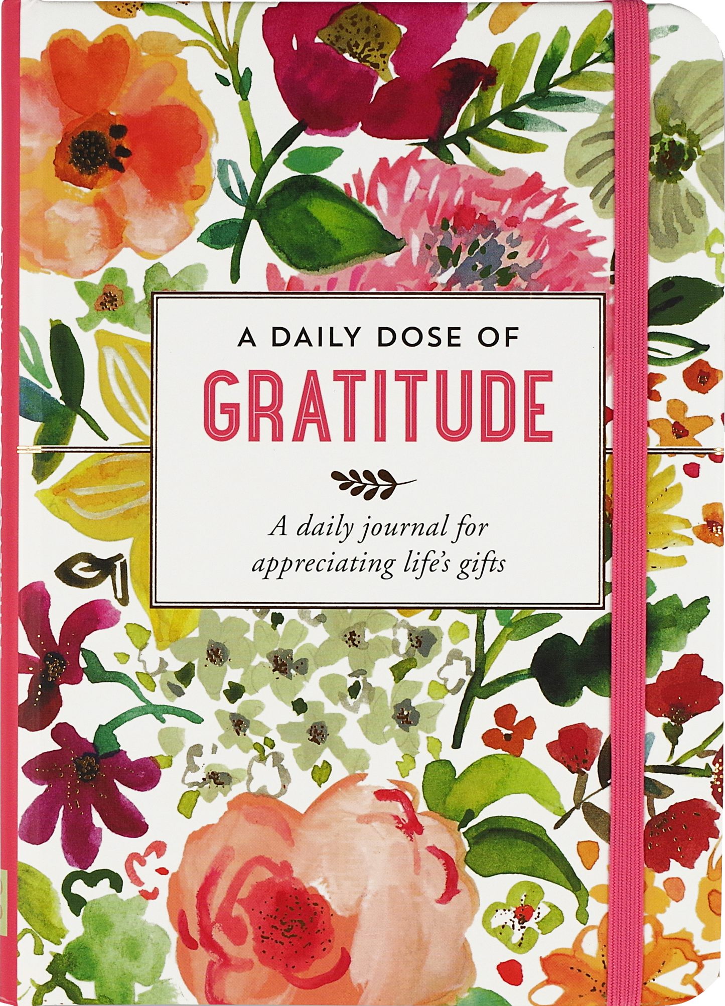 Daily Dose of Gratitude Journal