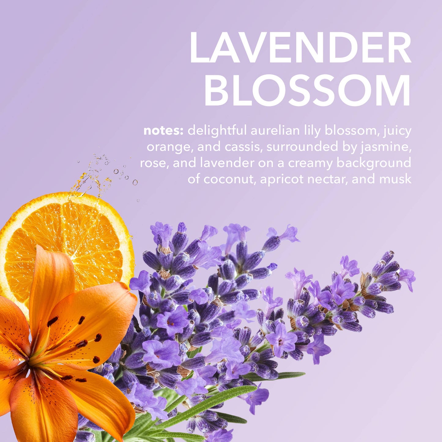 Dionis Lavender Blossom Goat Milk Hand Cream, 1oz