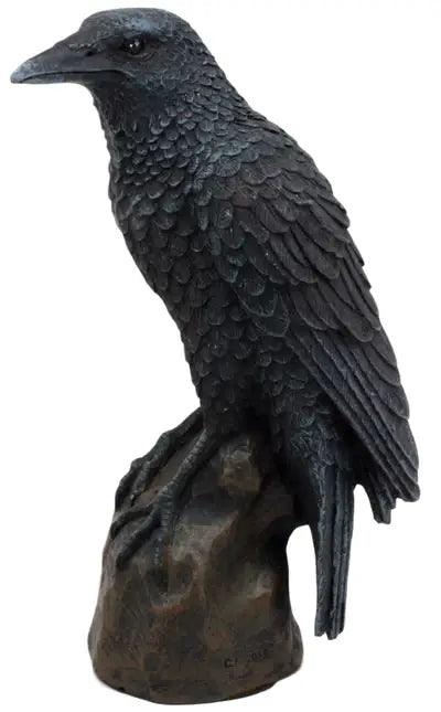 Raven on Branch