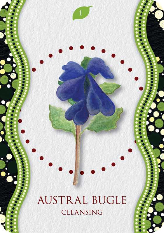 Aboriginal Healing Oracle  by Mel Brown